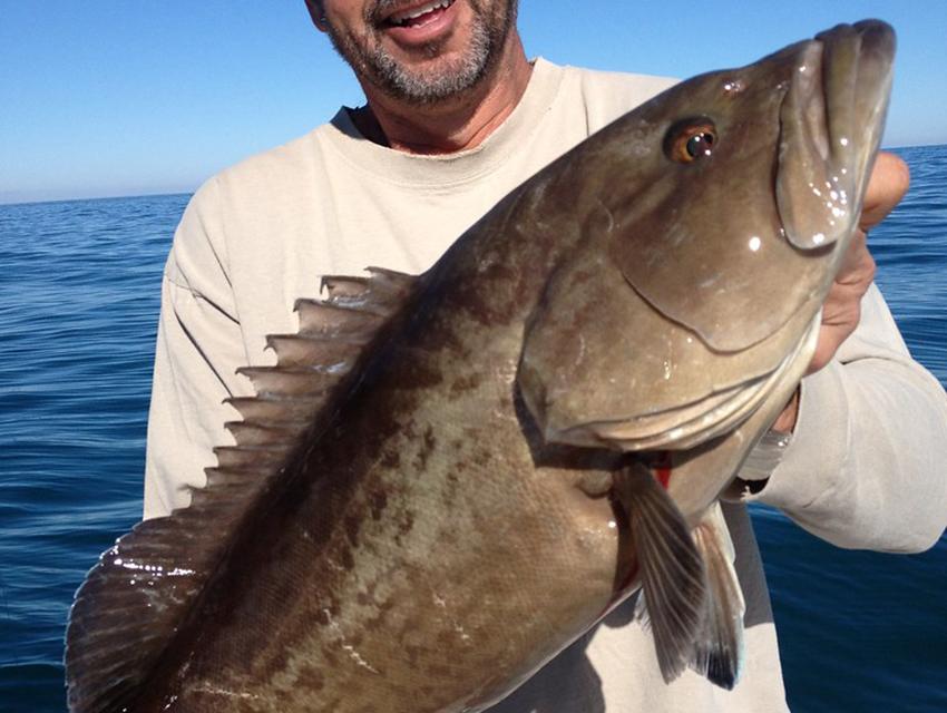 Grouper how to fish the Monsters out from land – Boatless Fishing