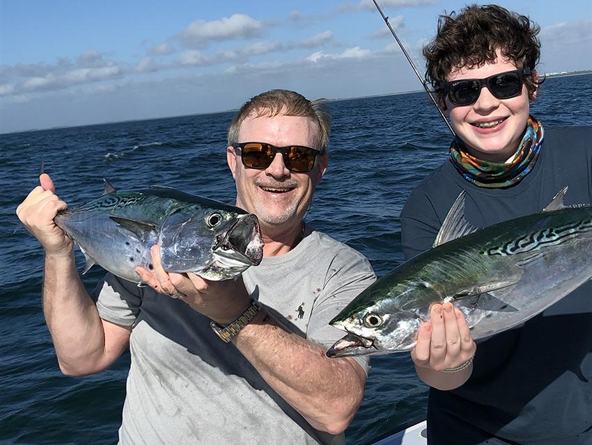 King Fish King Fish