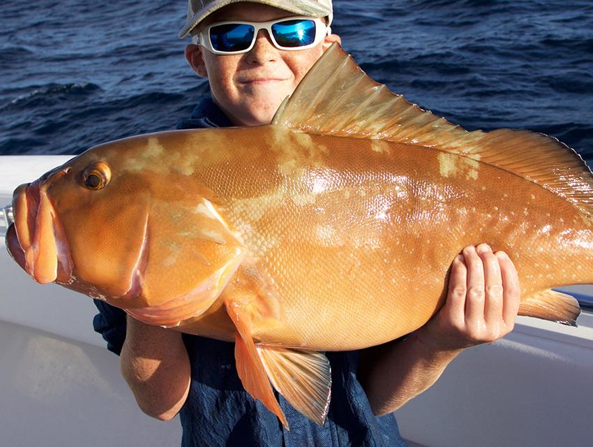 Red Grouper