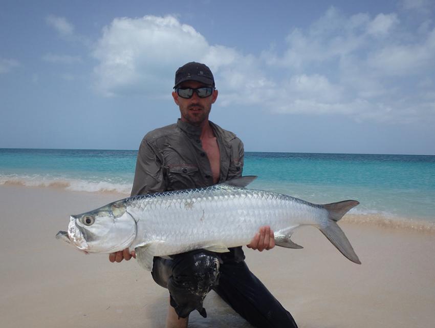 Tarpon